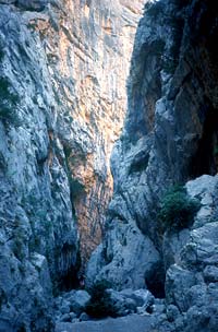 arrampicare in Sardegna, Gole di Gorropu