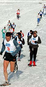 Civetta Ski Raid