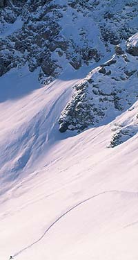 Alta Valtellina Ski Race, scialpinismo