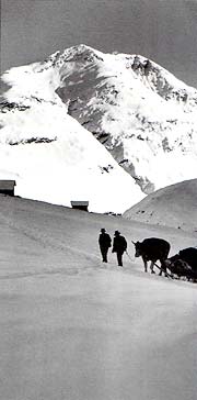 Le Alpi nella storia dEuropa