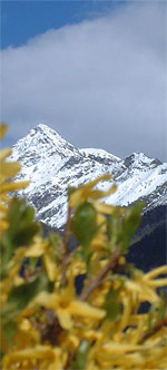 Memorial Bruseghini 2005, arrampicata