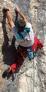 Maurizio Manolo Zanolla