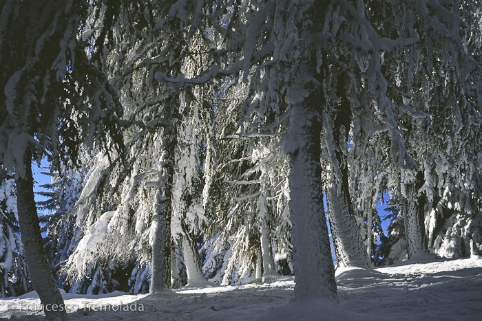 Racchette da neve in Dolomiti