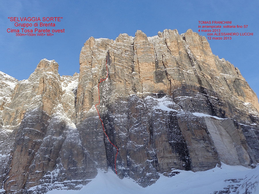 Selvaggia Sorte Cima Tosa
