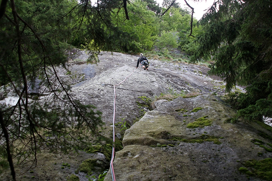 Nessuno vuole essere Robin Parete Cascata di Danerba