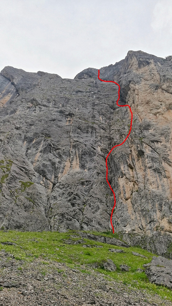 Diedro Tupaie Monte Fop