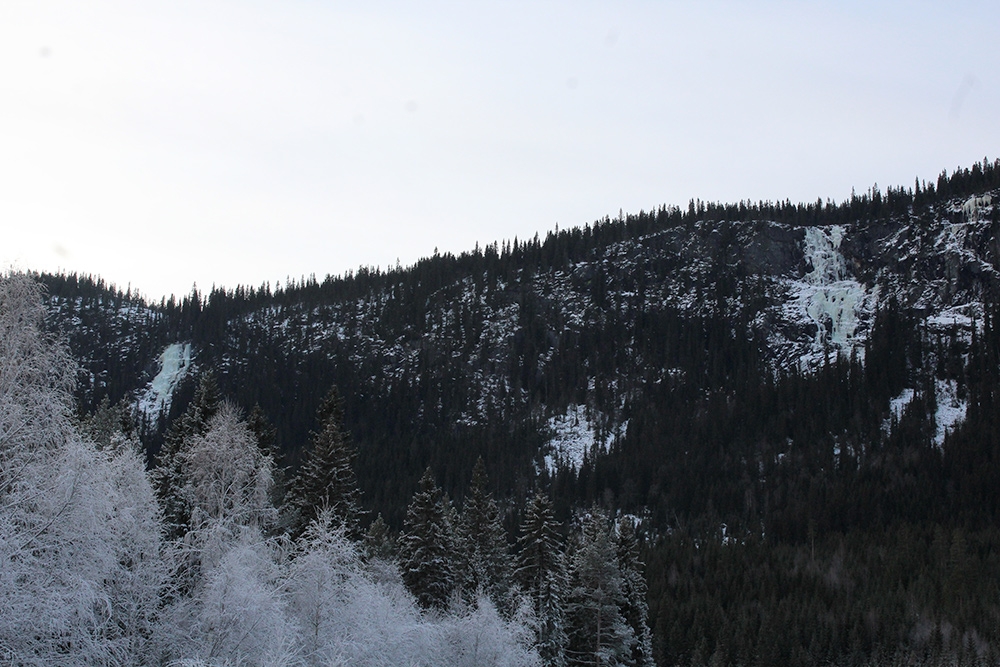 Kyrjukulen Årdal