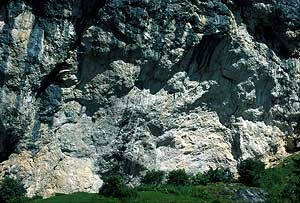 Pian Schiavaneis, Dolomiti