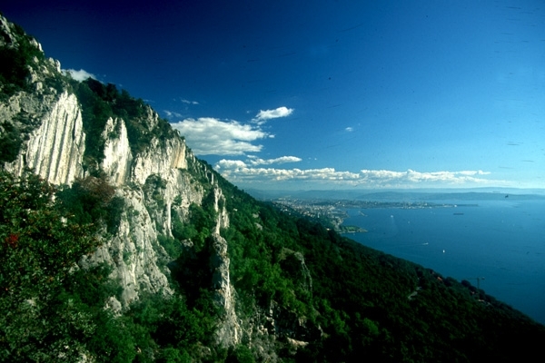 Napoleonica