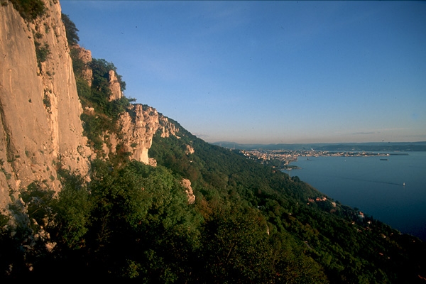 Napoleonica