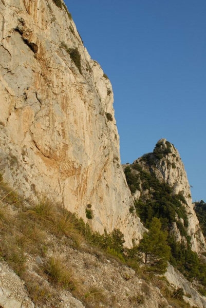 Muzzerone