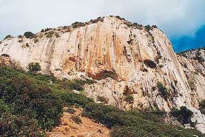 Wild Cadapria, Sardinia