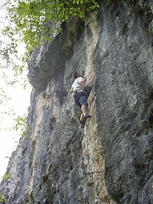 Valgua