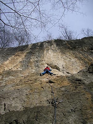 Valgua