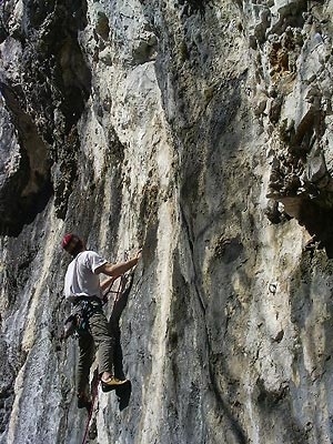 Valgua