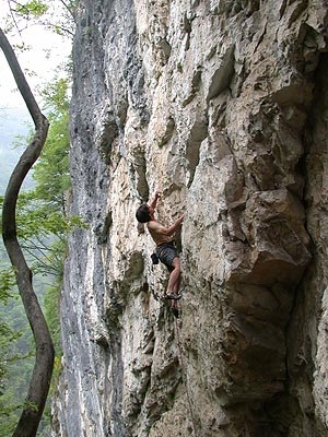 Valgua