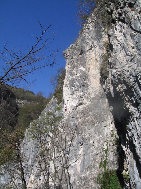 Valgua