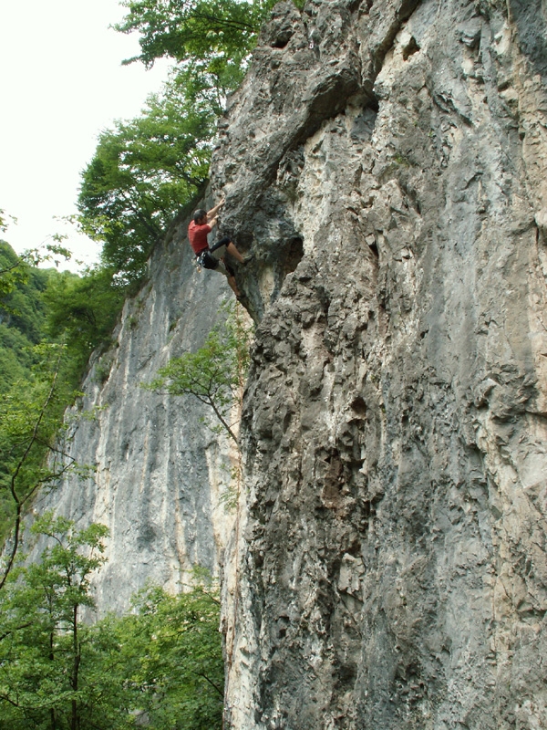 Valgua