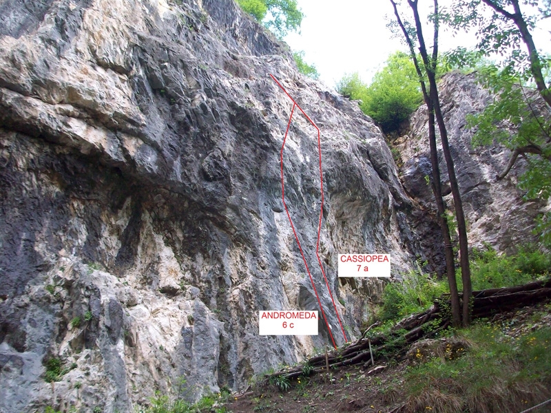 Valgua