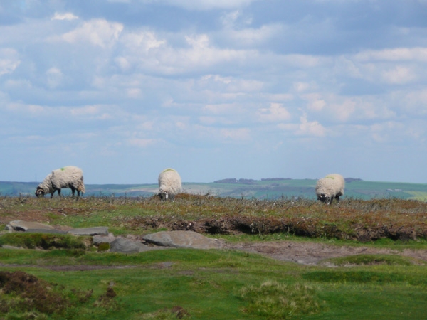 Stanage