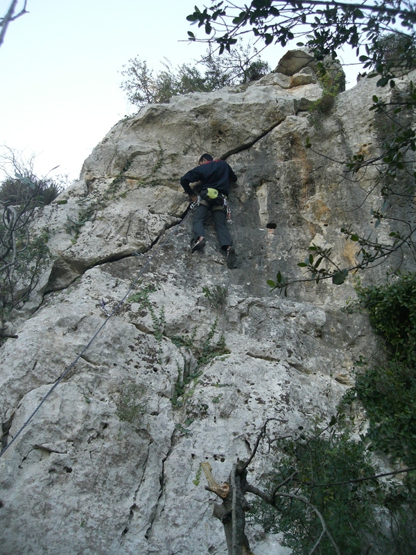 Pandora, Sicilia