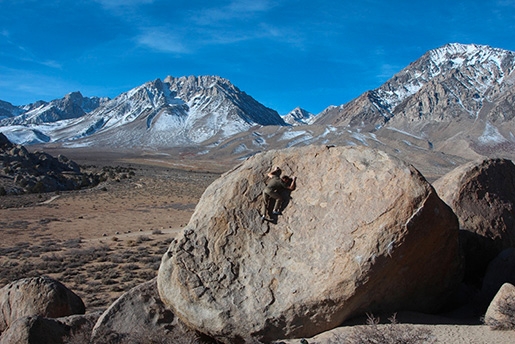 Buttermilks - Bishop