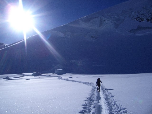 Traccie nella neve