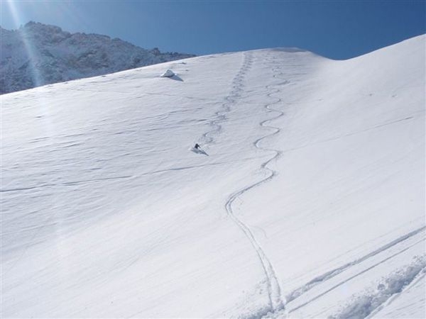 Freeride Tonale