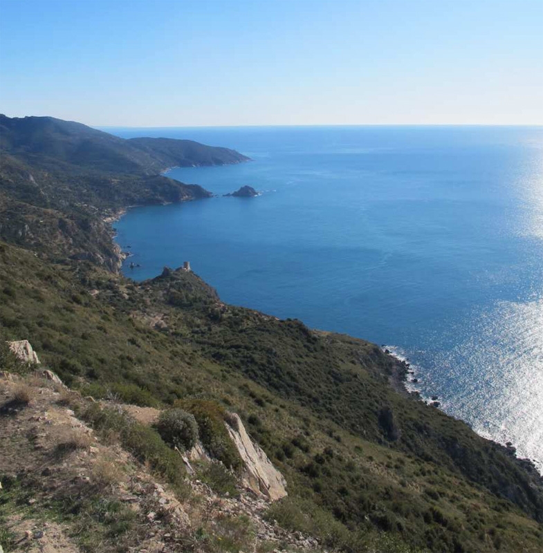 Capo d'Uomo