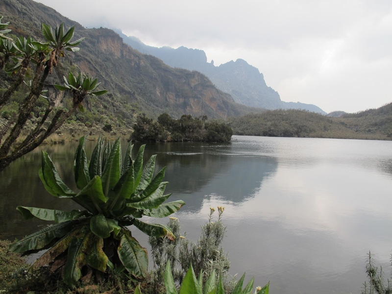 Ruwenzori