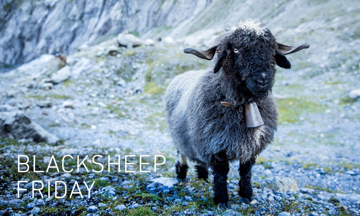 Ortovox Blacksheep weekend, chiuso l’online shop per scalare le montagne