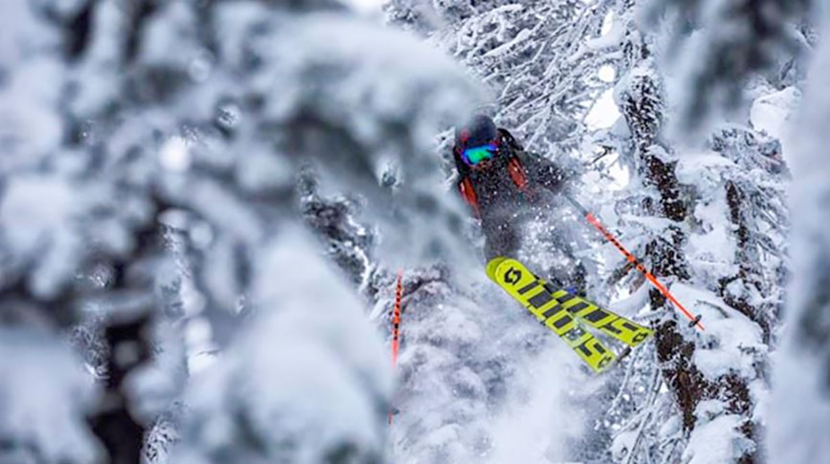Free to Ski: un pool di aziende unite per due eventi a Bardonecchia e Folgaria