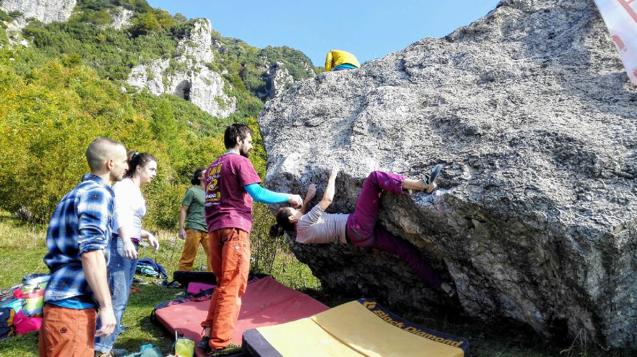 Bovetalblock 2018