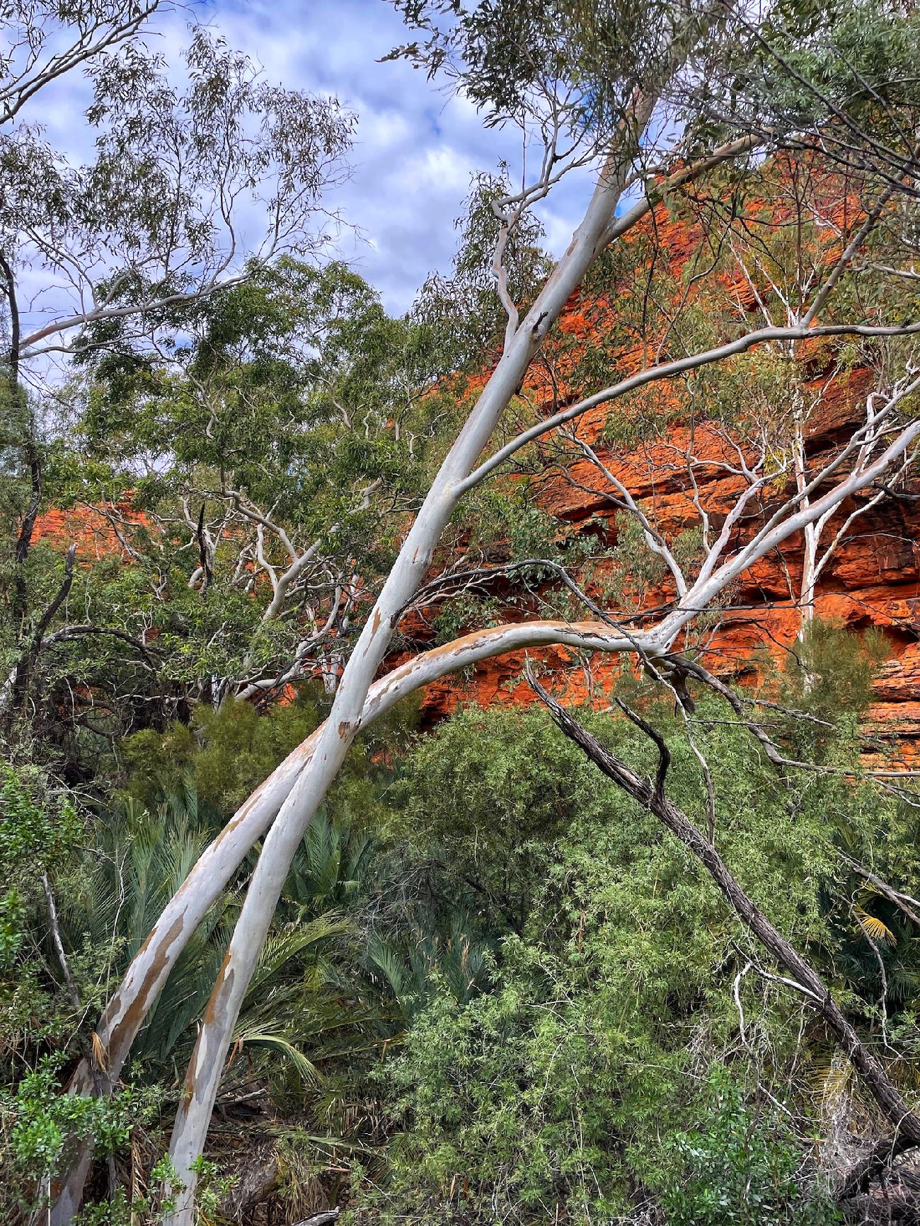 Australia