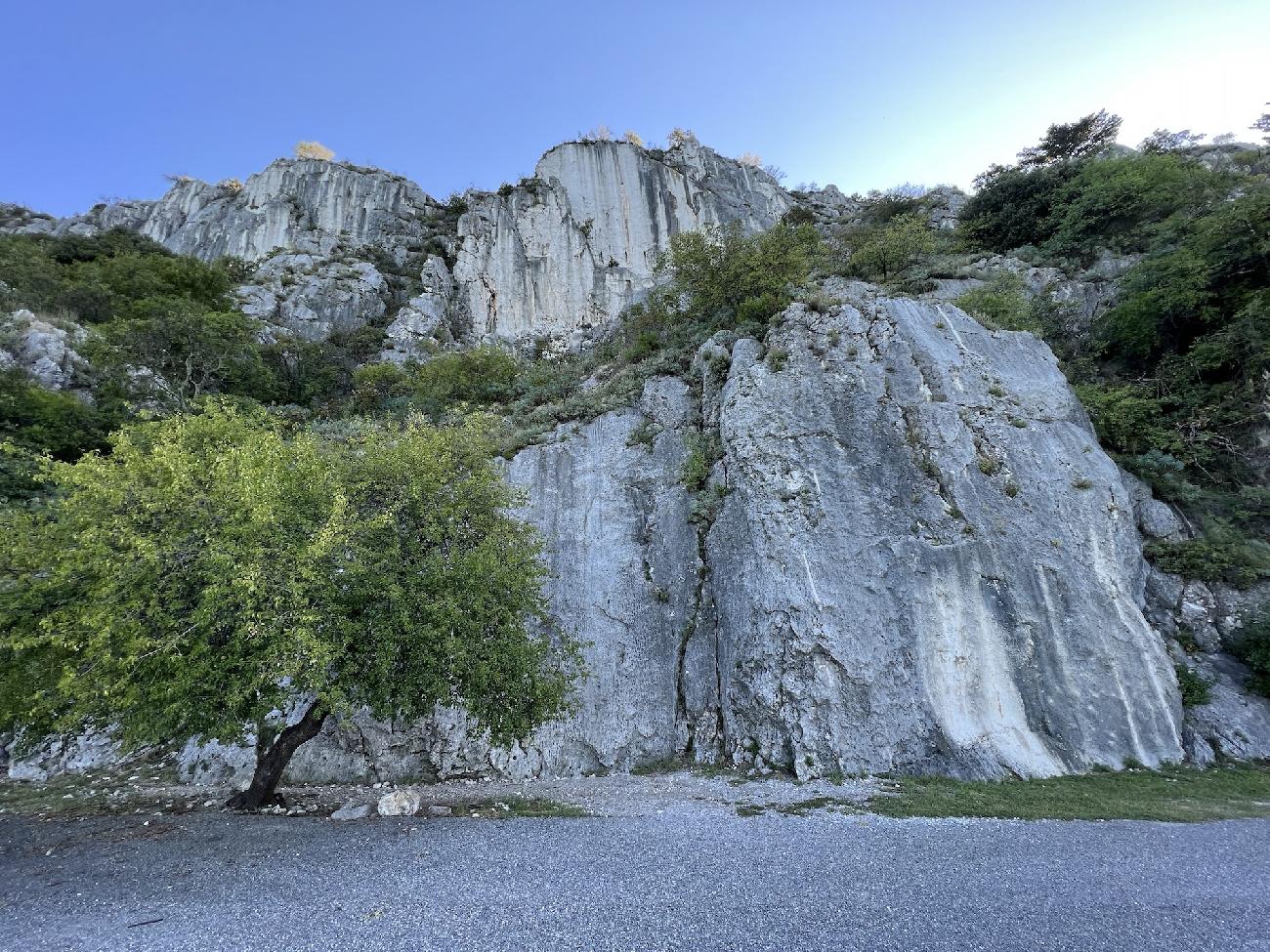 Napoleonica, Trieste