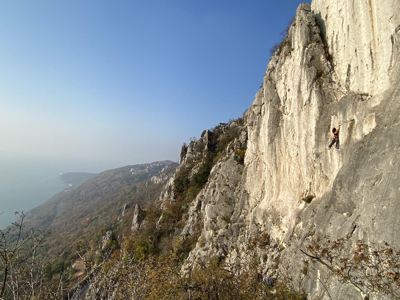 Napoleonica, Trieste