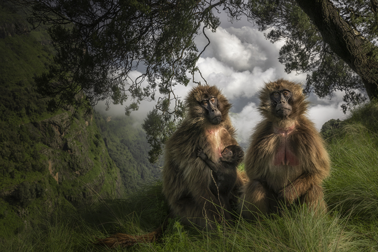 Wildlife Photographer of the Year 2023