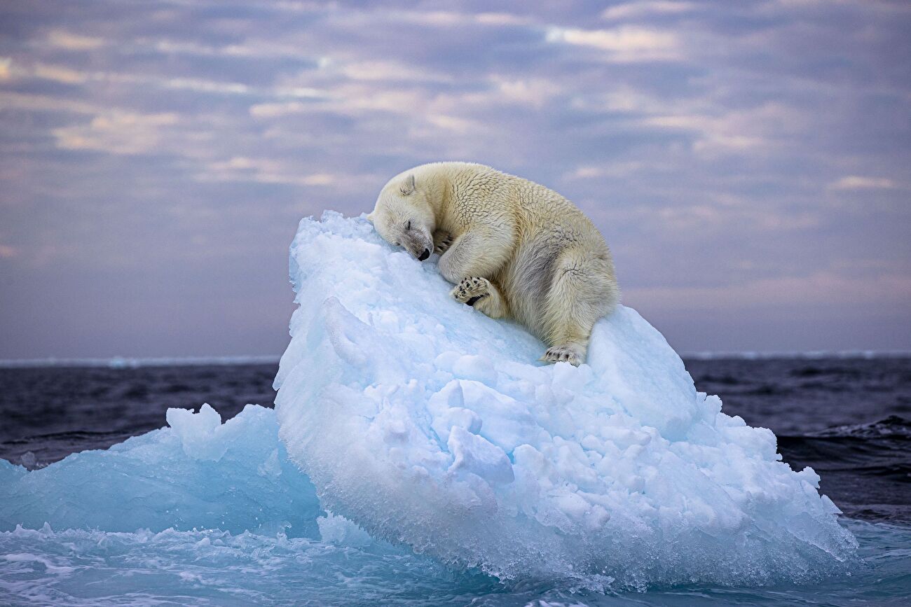 Wildlife Photographer of the Year 2023
