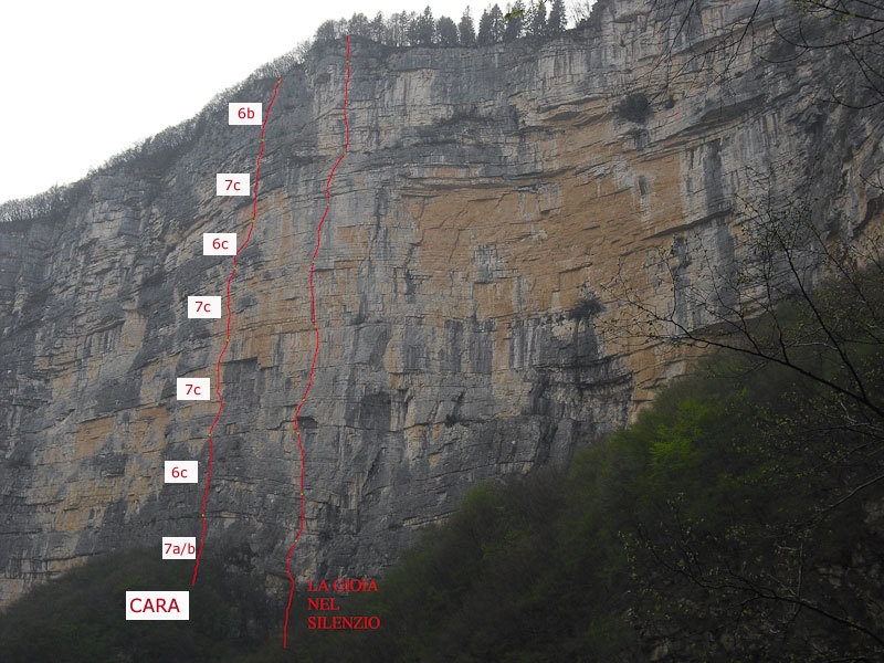 Cara - Val Gadena
