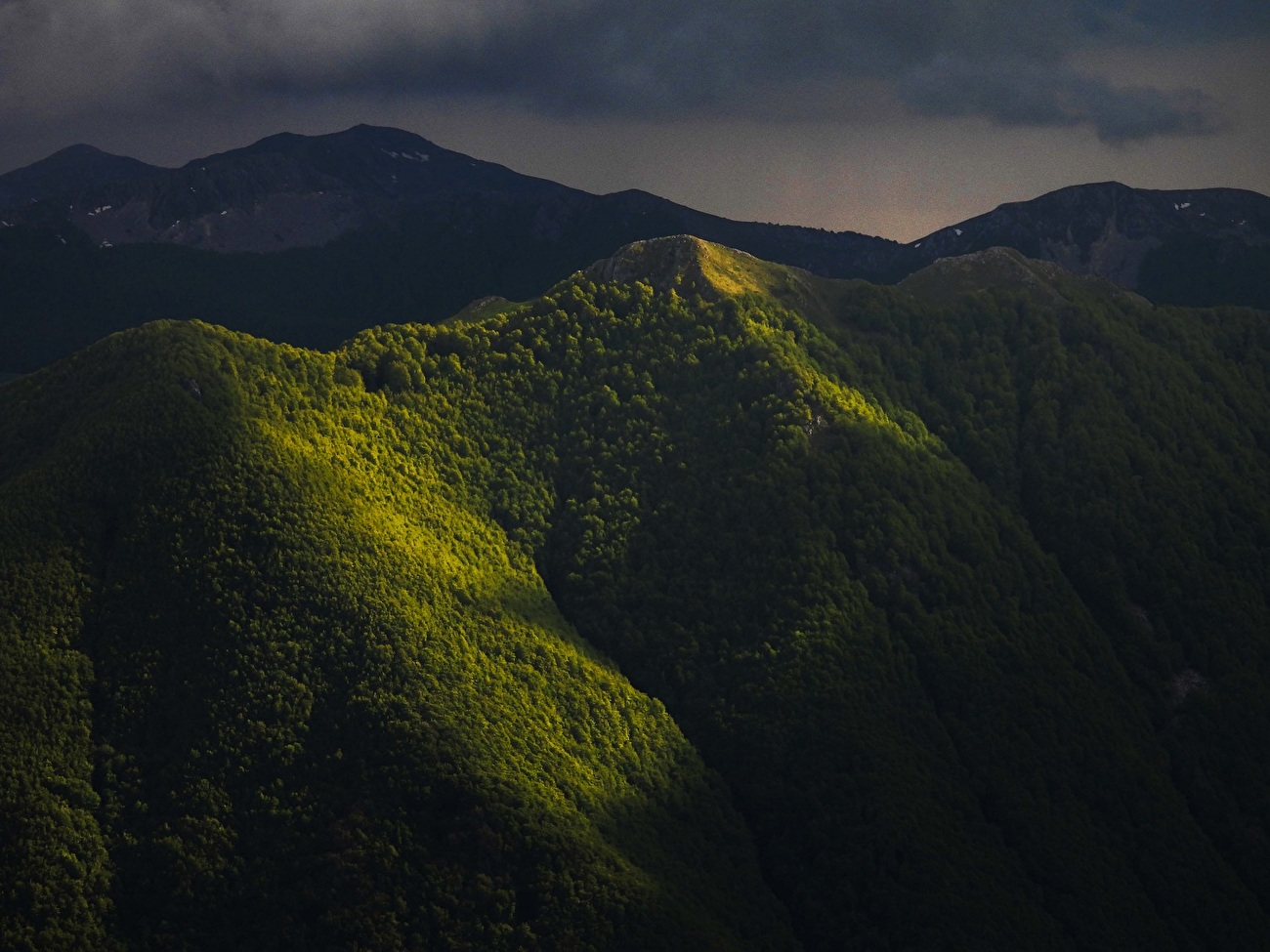 Fotografare il Parco XVII edizione