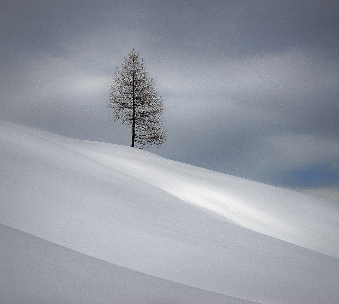 Fotografare il Parco XVII edizione