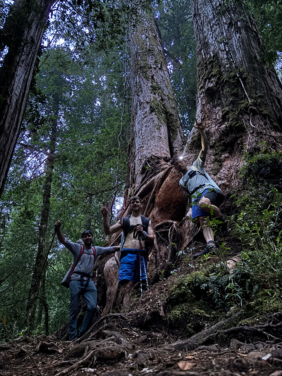Valle Cochamò, Cile, Cerro Trinidad Central, Angelo Contessi, Diego Diaz, Leo Gheza