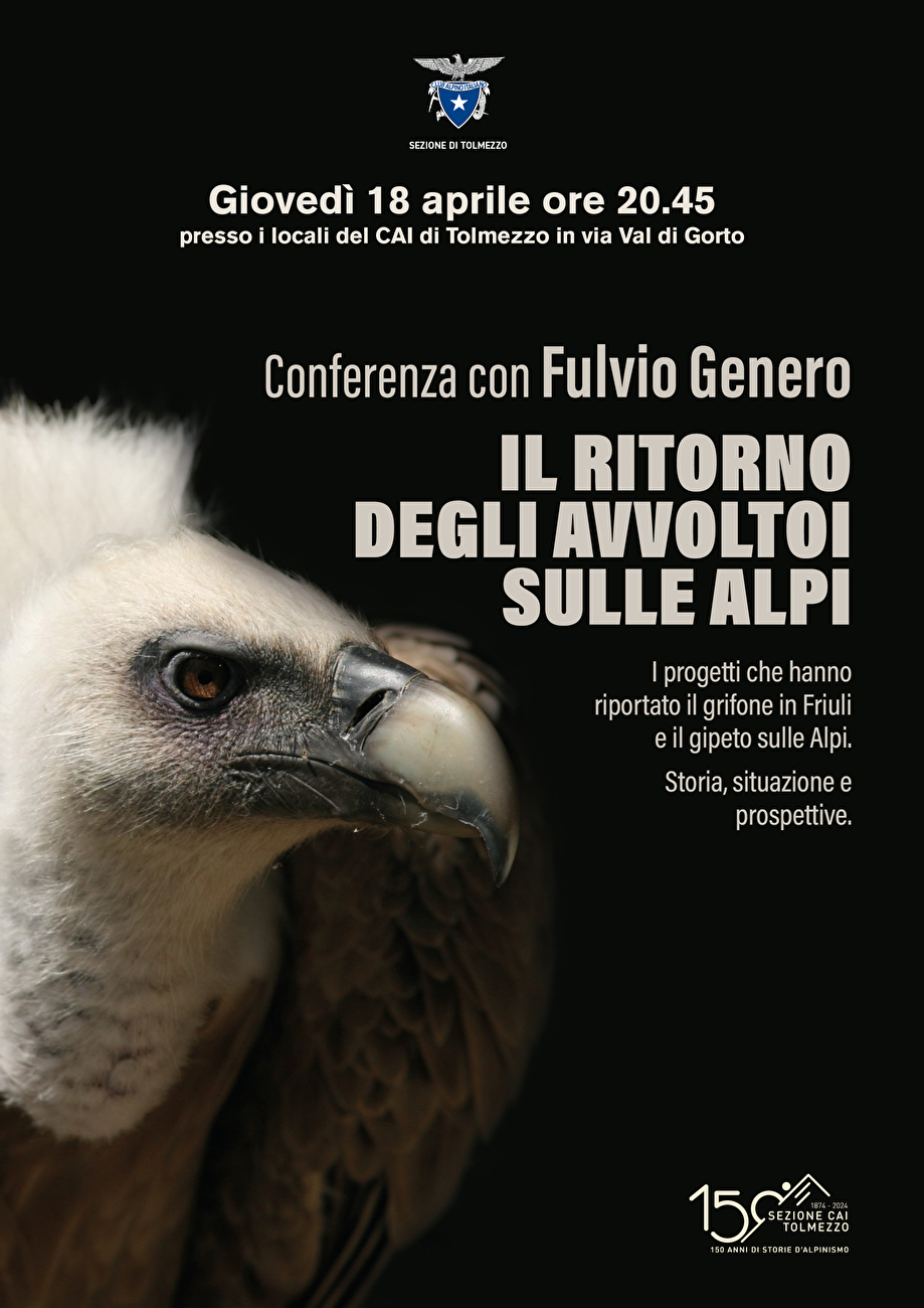 The return of the vultures to the Alps