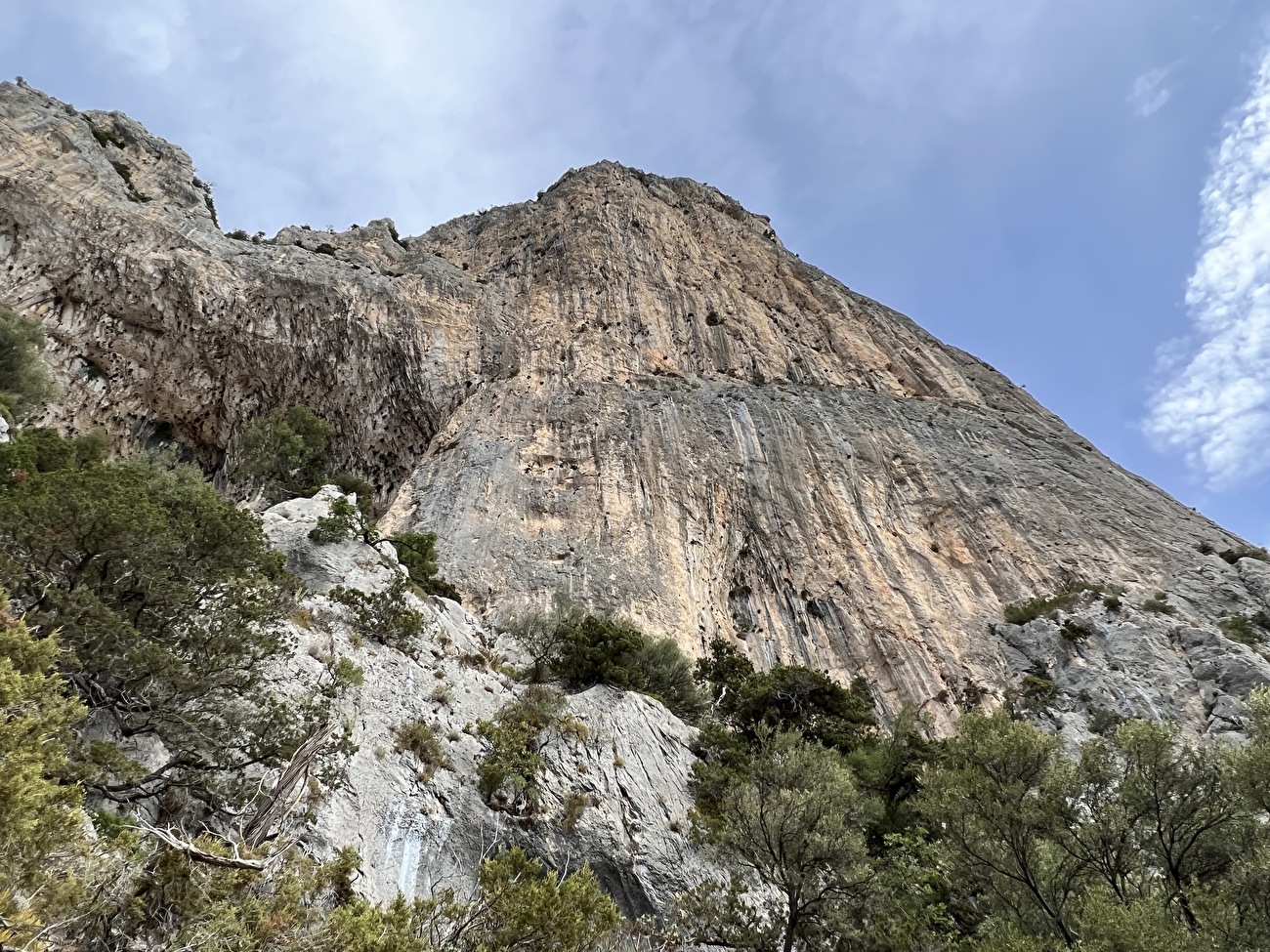 Mediterraneo, Punta Giradili, Sardinia