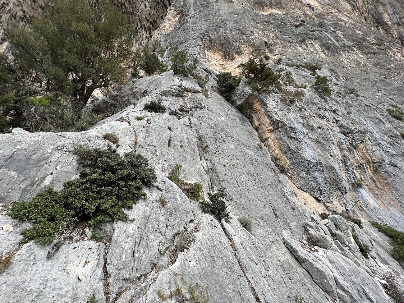 Mediterraneo, Punta Giradili, Sardinia