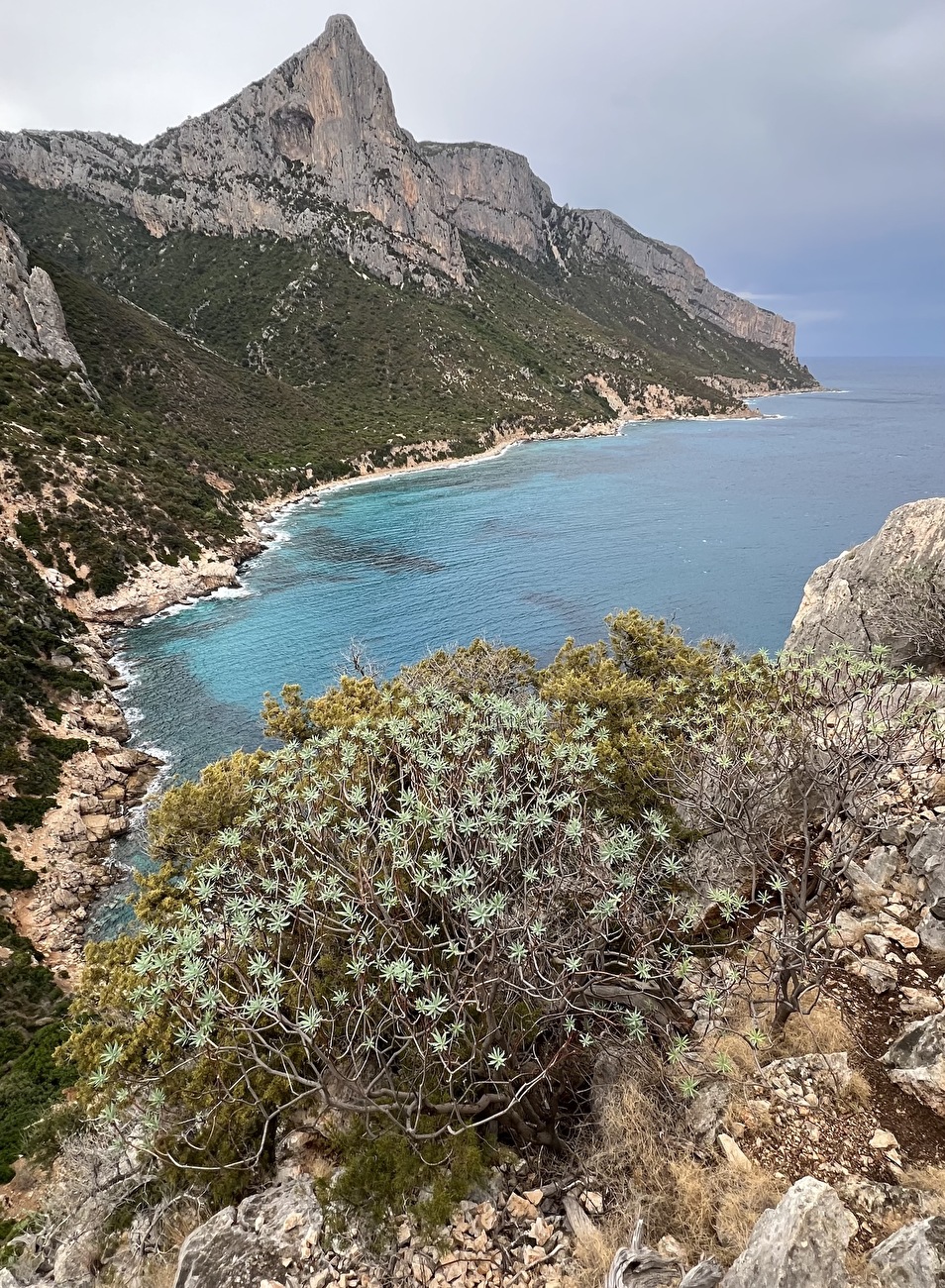 Cromosomi Corsari Pedra Longa Sardinia