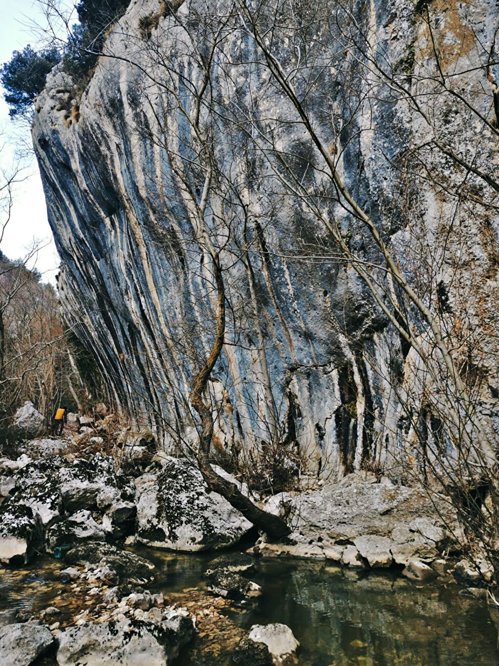 Carovilli