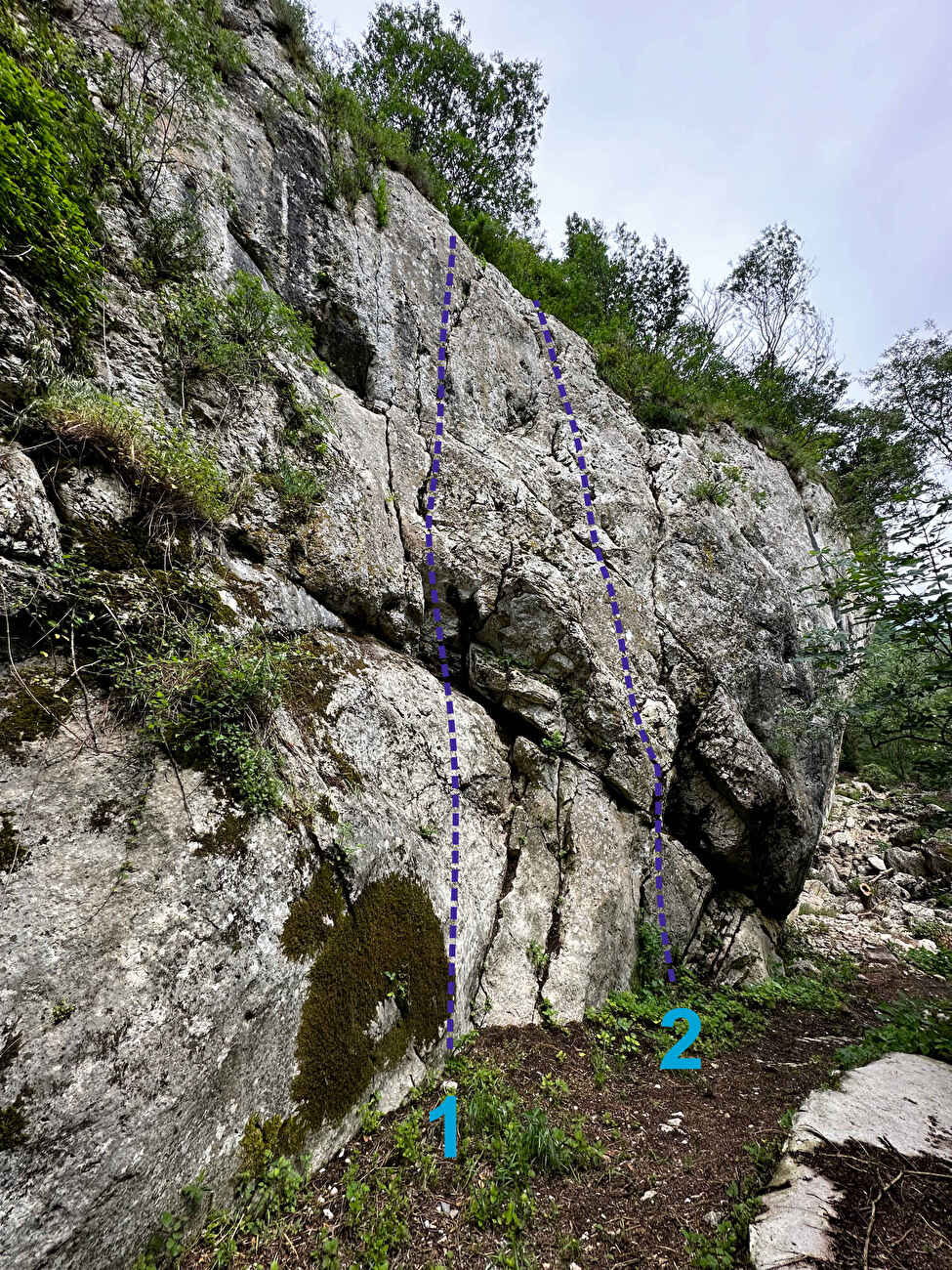 Carovilli