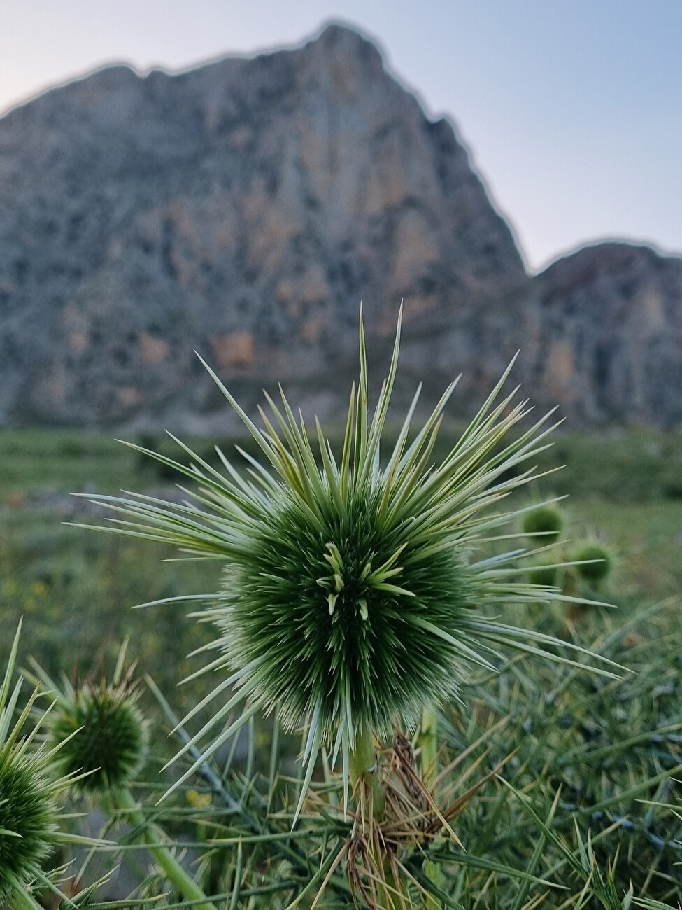 Tunisia, Halg Itwiln Djebel Zaghouan, Markus Aufderklam, Luca Giupponi, Rolando Larcher, Francesco Mich