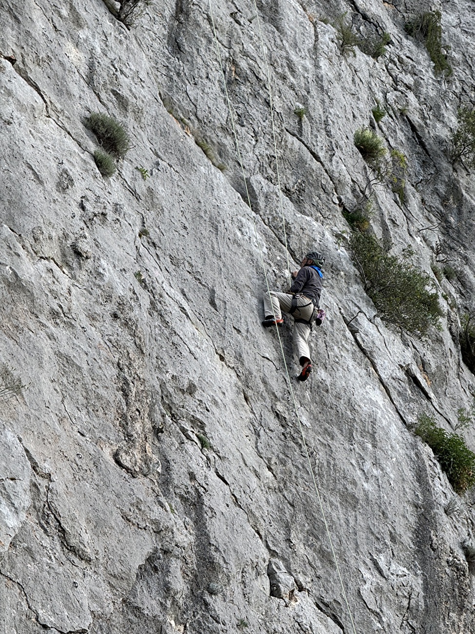 Damia, Valle di Lanaitto, Sardinia